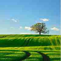 开‌展​大‍数﻿据​分​析​